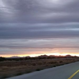 Meet your Posher, Robin